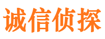 东河寻人公司